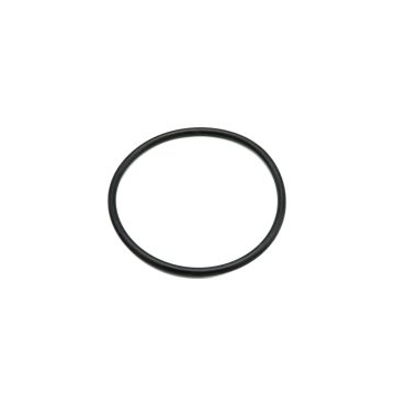 O-Ring 1AP-105 